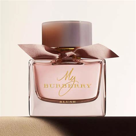 burberry fragrance notes|original burberry perfume for women.